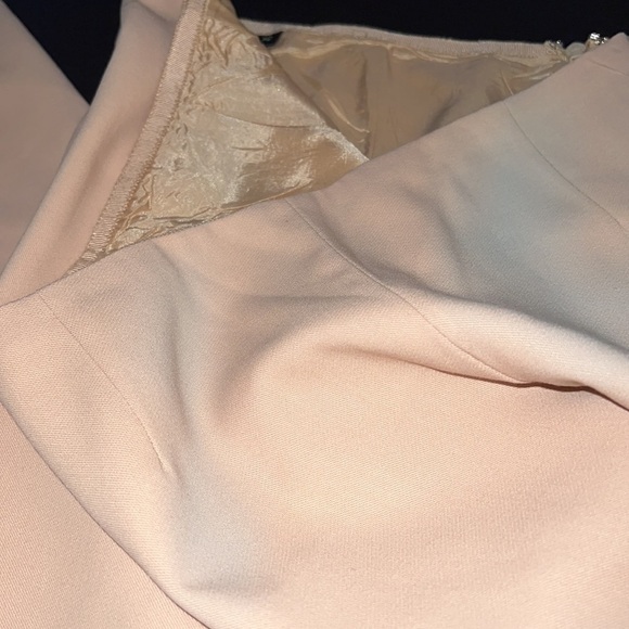 Dana Buchman wool beige lined wide leg pants Sz 12 - Picture 4 of 8